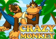 Crazy Monkey free